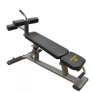 Element Adjustable AB / Crunch bench - 306 Fitness Repair & Sales