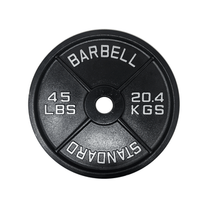 Cast Iron Olympic Plates - Barbell Standard - 306 Fitness Repair & Sales